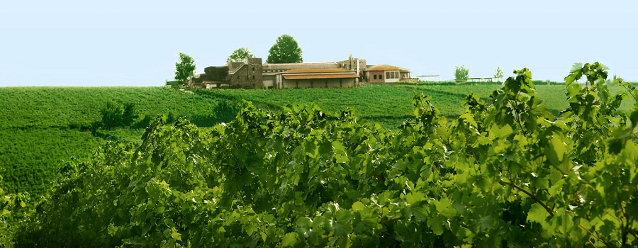 Gerovasileiou winery